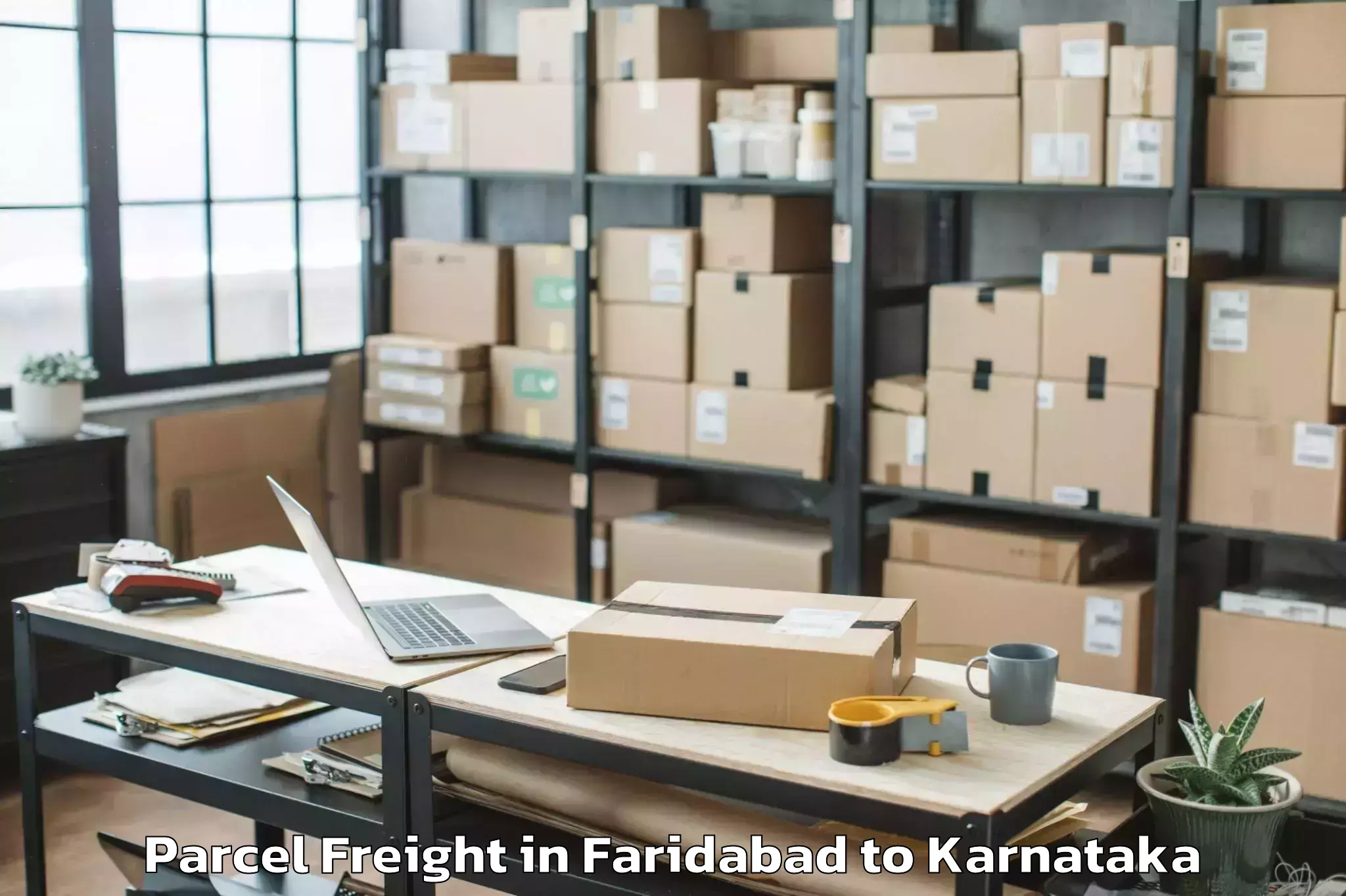 Faridabad to Holalkere Parcel Freight